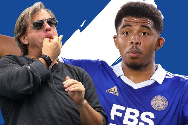 家向往更自 家向往更自